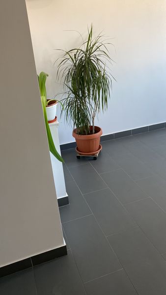 Berceni, Sun Plazza,Piata Sudului